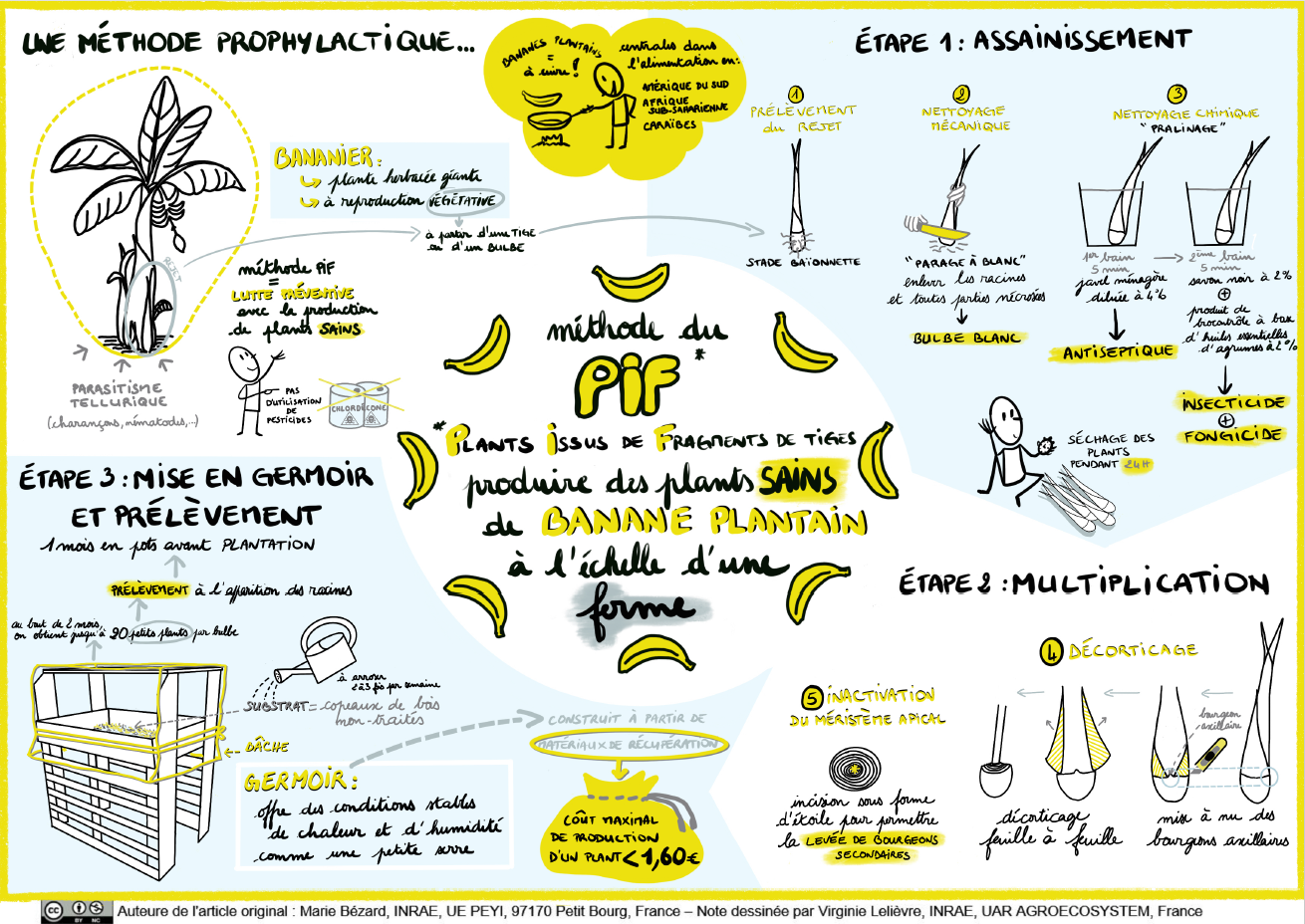 Sketchnote méthode PIF