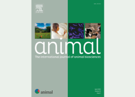 revue Animal