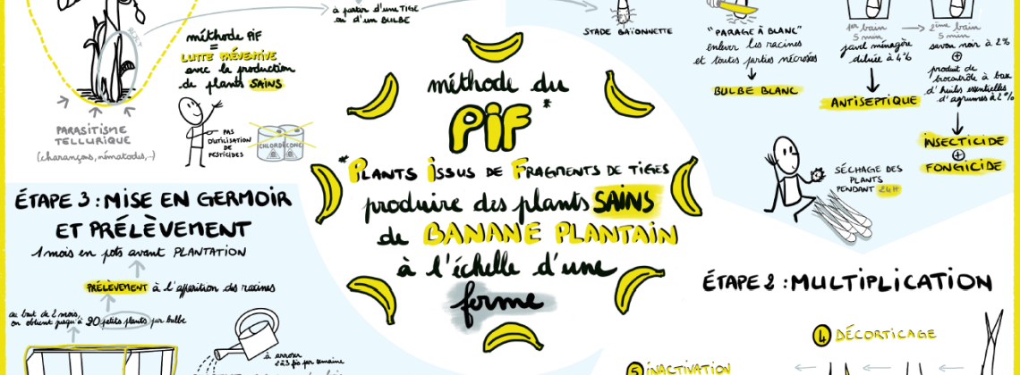 Sketchnote PIF
